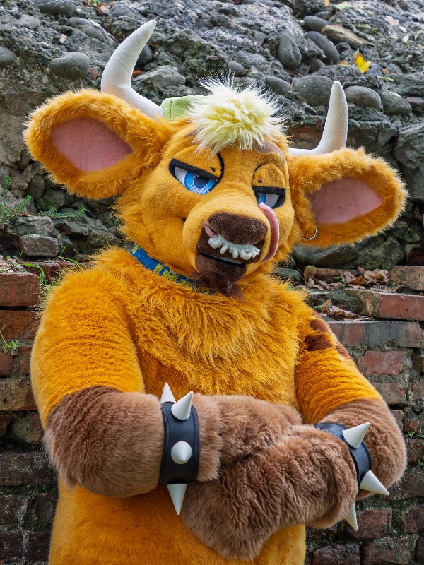 Fursuiter
