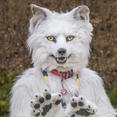 BerkWolf
