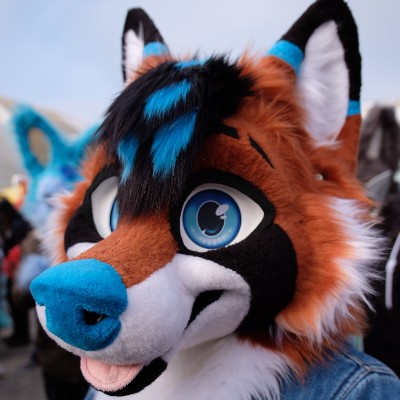 Furryal power