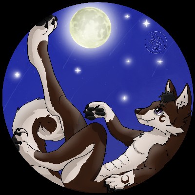 Shasta_TheHusky