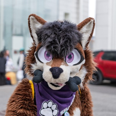 Shasta_TheHusky