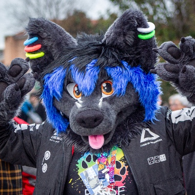 Wolfy