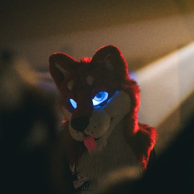Winter Wolf